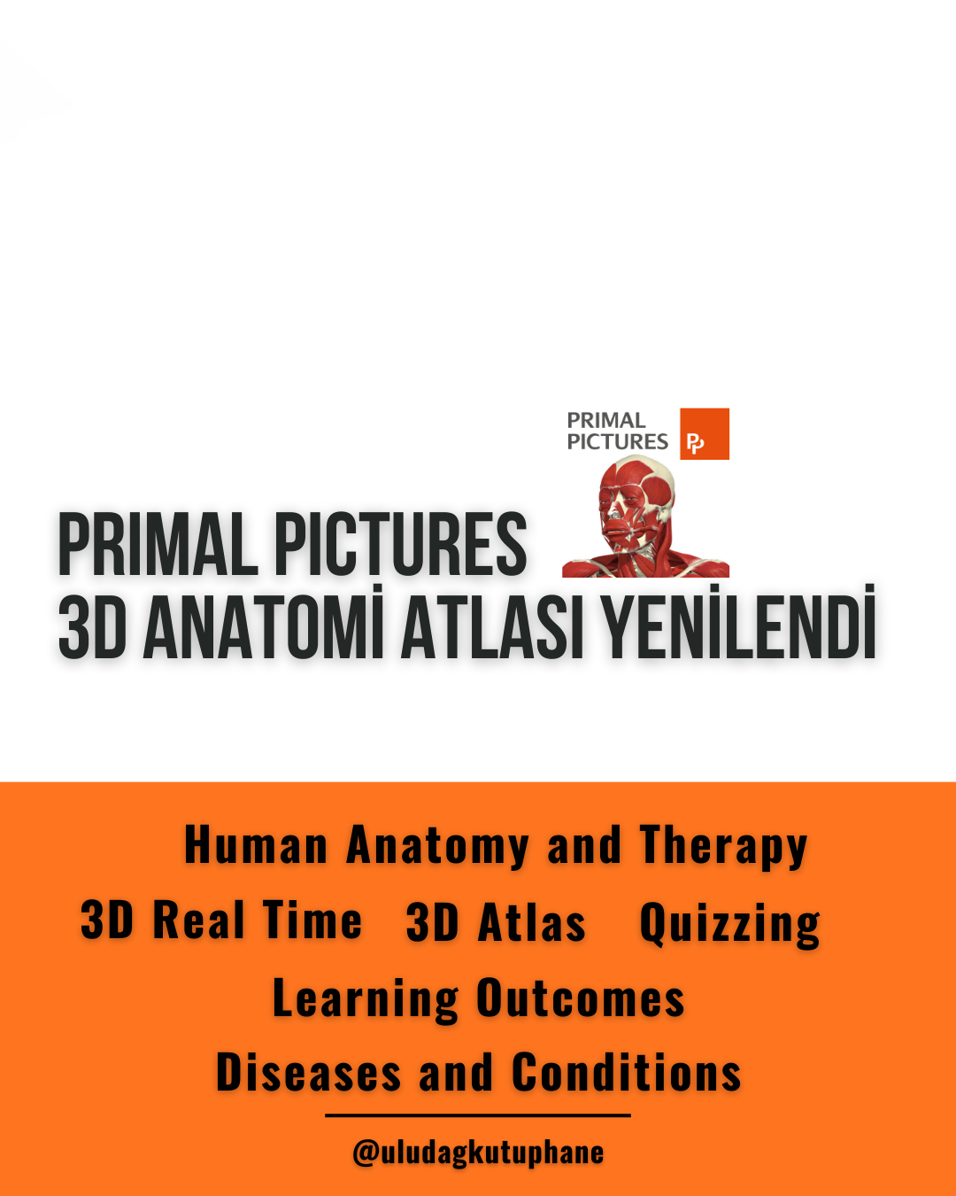  primal pictures_haber_9